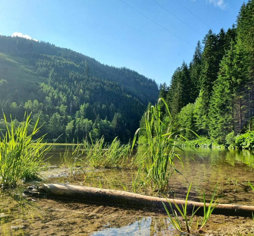 Das Geringer Schladming Exterior foto